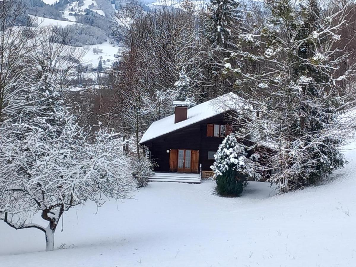 Villa Stressless - für Geimpfte und Genesene Traisen Exterior foto